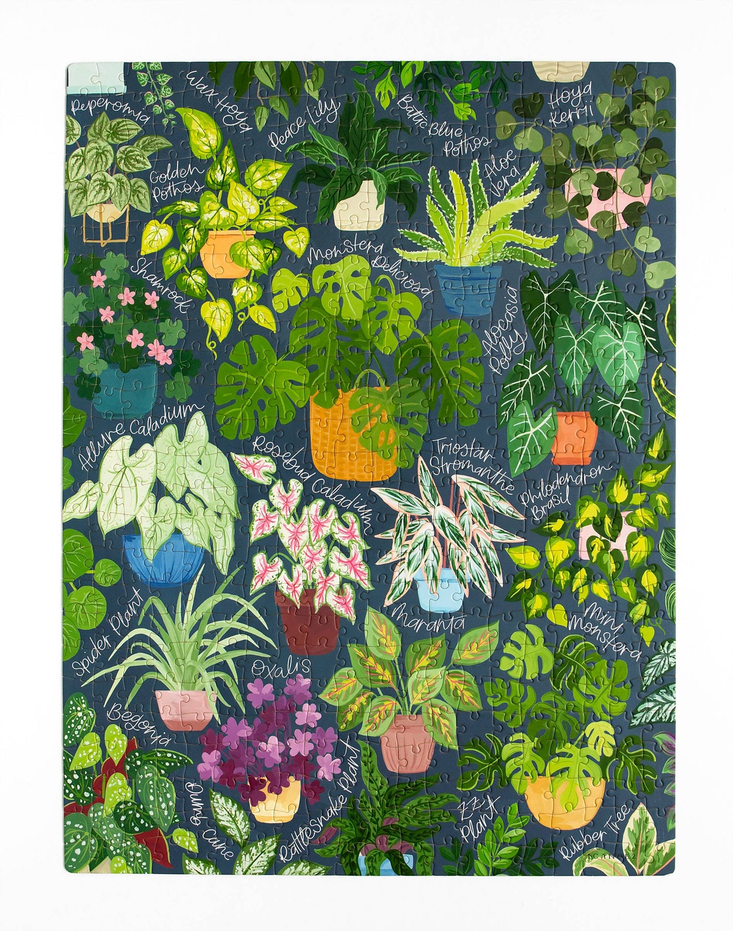 1canoe2 | One Canoe Two Paper Co. - Houseplant Jungle - 500 Piece Jigsaw Puzzle