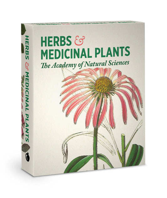 Pomegranate - Herbs and Medicinal Plants Knowledge Cards