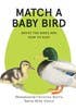 Match a Baby Bird