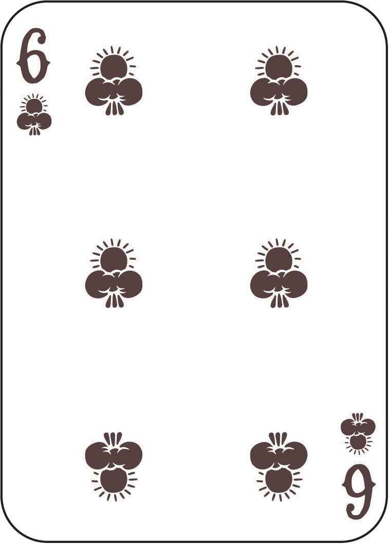 Chronicle Books - Great Outdoors Playing Cards