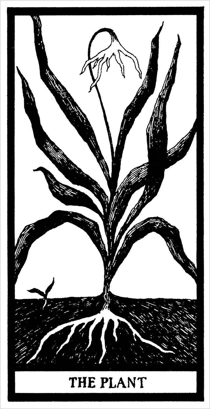 Pomegranate - The Fantod Pack by Edward Gorey