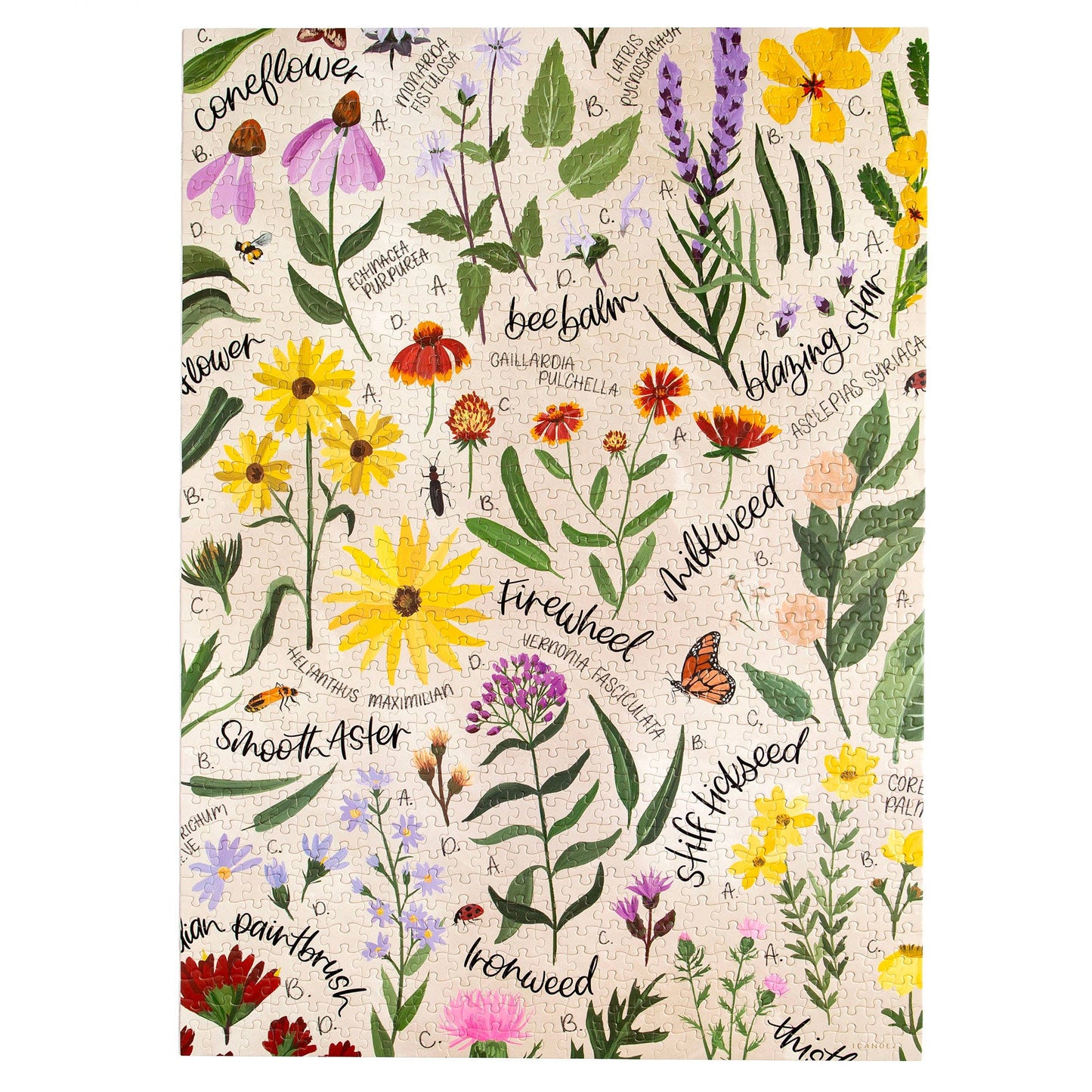 1canoe2 | One Canoe Two Paper Co. - Wildflower Botanicals - 1,000 Piece Jigsaw Puzzle