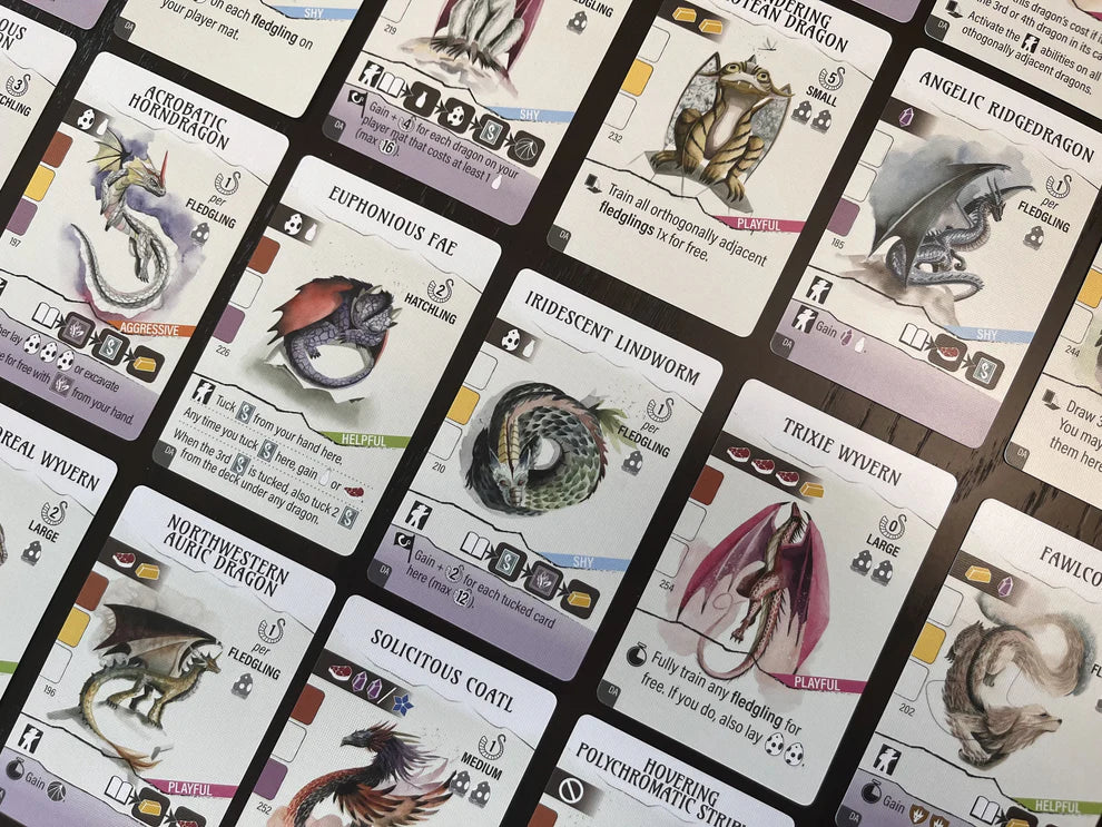 Wyrmspan Dragon Academy