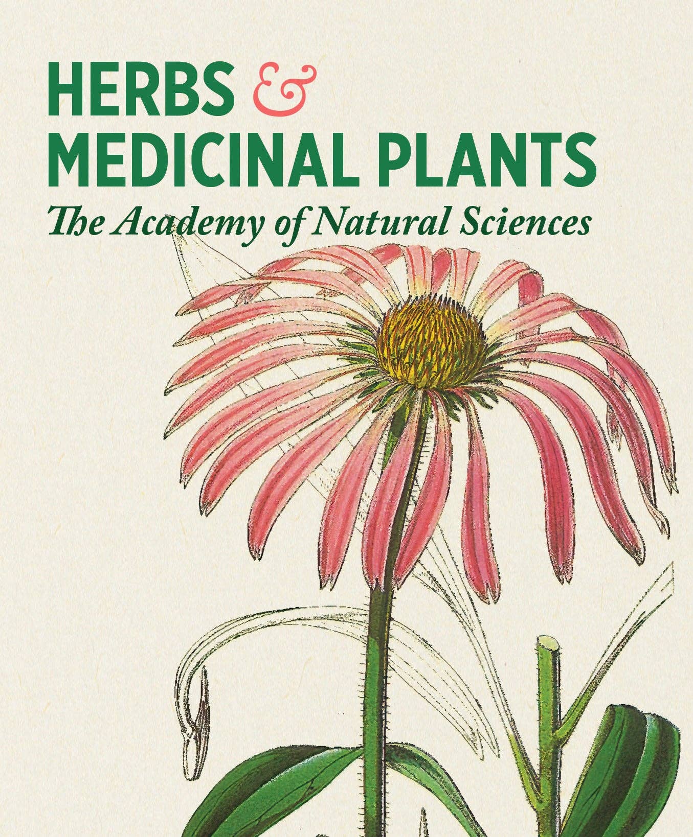 Pomegranate - Herbs and Medicinal Plants Knowledge Cards