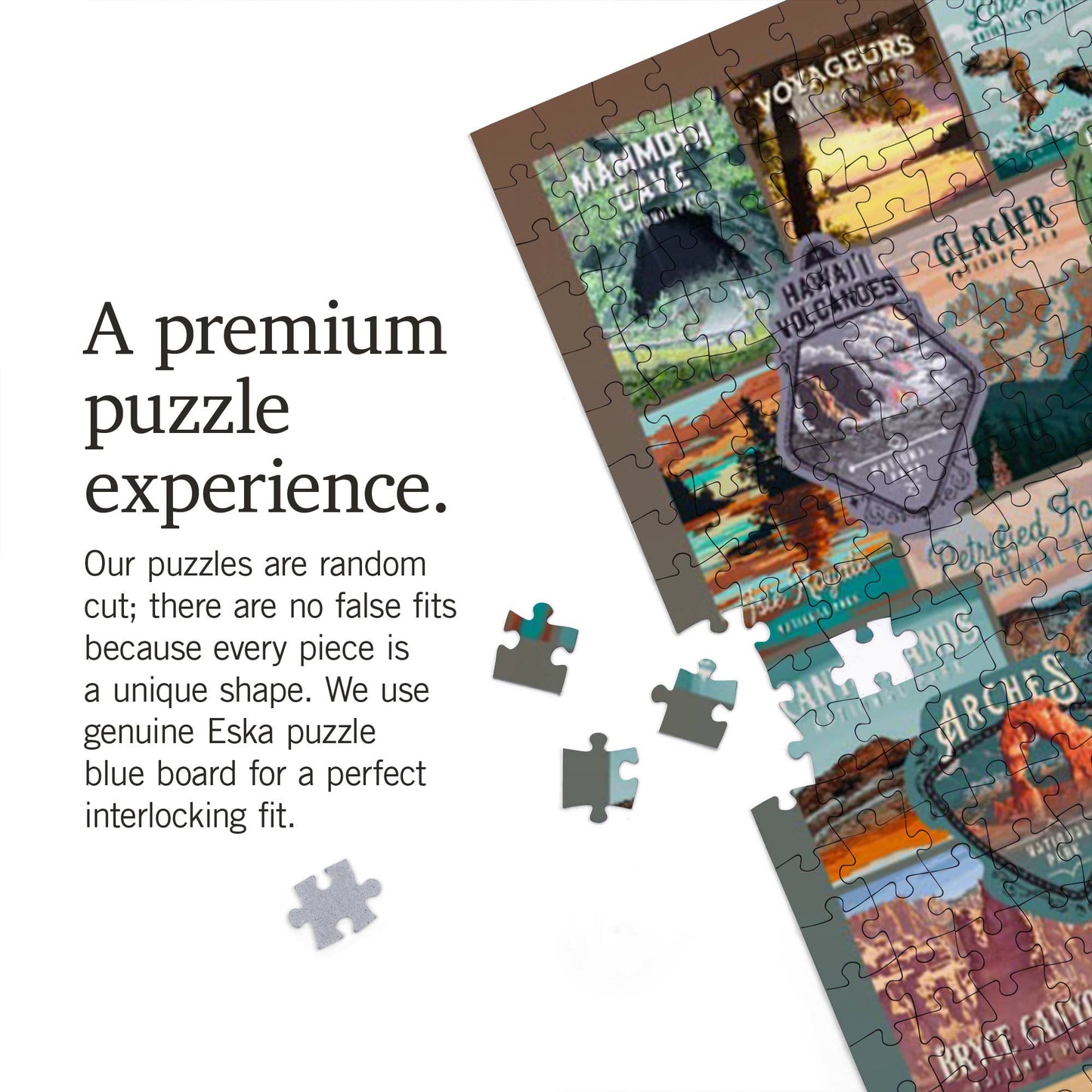 Lantern Press - 1000 PIECE PUZZLE Protect National Parks Collection Collage