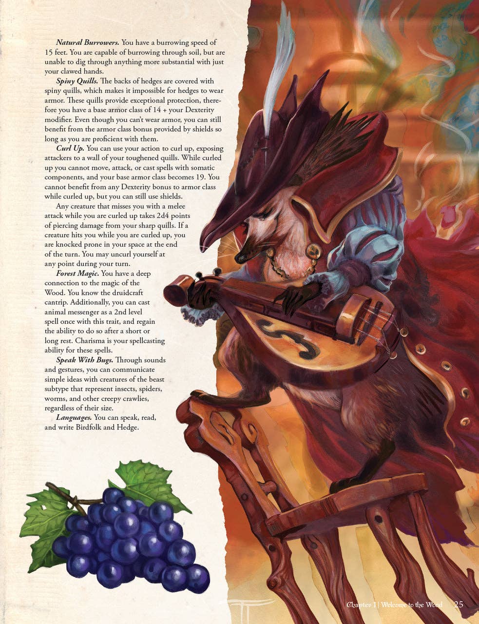 Hit Point Press - Humblewood Campaign Setting - 5e D&D (Hardcover)